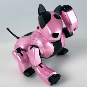 croppedimage450450-genibo-edu-sd-m-robothond-dasarobot.jpg