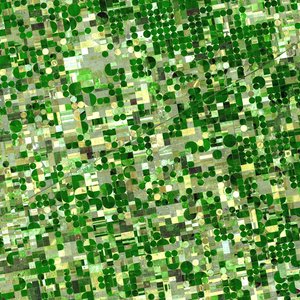 crops_kansas_ast_20010624.jpg