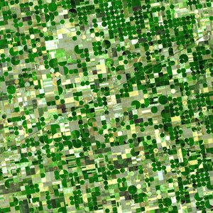 crops_kansas_ast_20010624.jpg