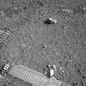 curiosity.jpg
