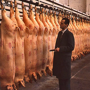 danish_pork_par_dok_1.jpg