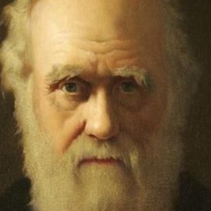 darwin.jpg