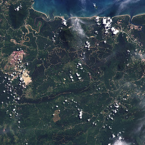 deforestation_borneo_jallenrsimmon_nasa_wc.jpg