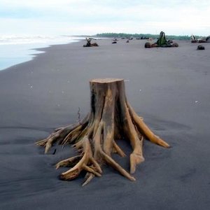 deforestation_in_guatemala_patigaitan_wc.jpg