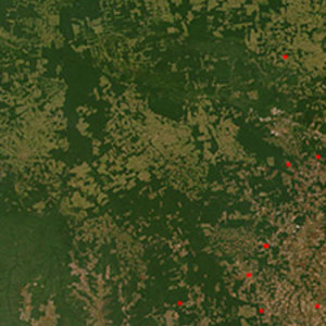 deforestationinbrazil2.jpg