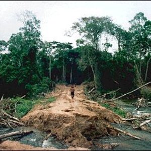 deforestationinbrazil_nasa_wc.jpg