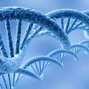 dna-test-for-longevity.jpg