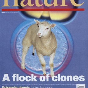 dolly-nature-1997.jpg