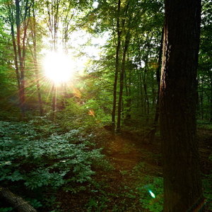 dreamstime_16911854.jpg