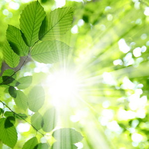 dreamstime_18963566.jpg
