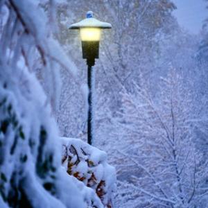 dreamstime_xs_21917660.jpg