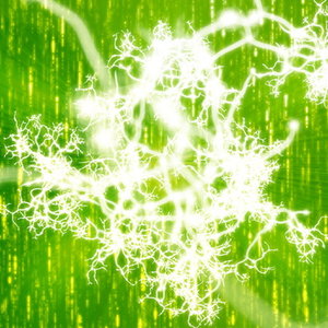 dreamstime_xs_6960219.jpg