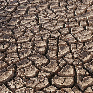 drought.jpg