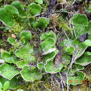 dscn0899.jpg