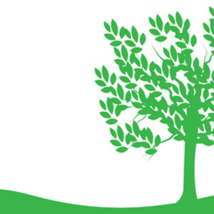 dt_arbre.jpg