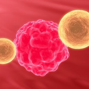 dt_cancercell-2.jpg