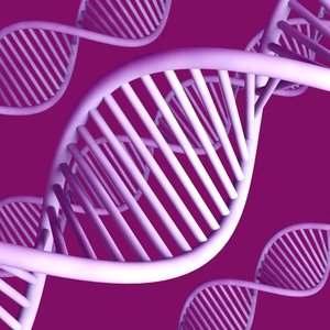 dt_genes-mauves.jpg