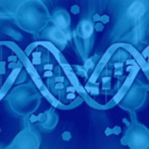 dt_genetic_ok.jpg