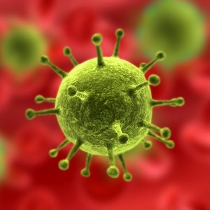dt_virus.jpg