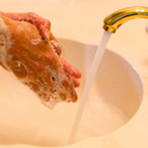 dt_washinghands_ok.jpg