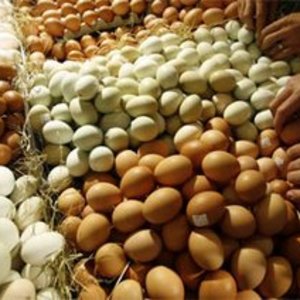 eggs.jpg