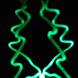 electric_tree_leahlove_wc.jpg