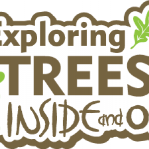 explore_trees.png