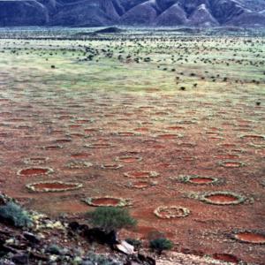 fairy_circles_namibia.jpg