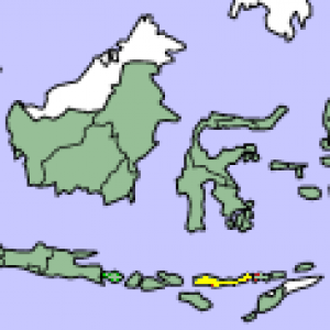 flores_map.png