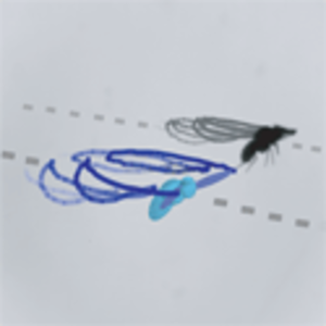 fly_thumb_e1.png