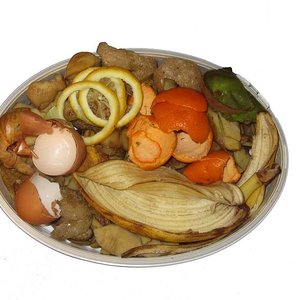 foodwaste_con-struct_wc.jpg