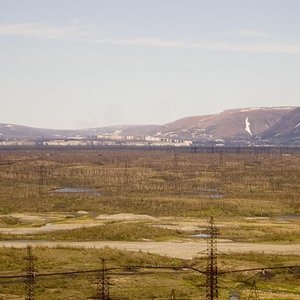 forest_tundra_russia_grain_wc.jpg