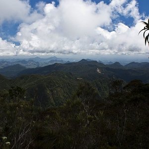 foret_hautemontagne_ericmathieu_wc.jpg