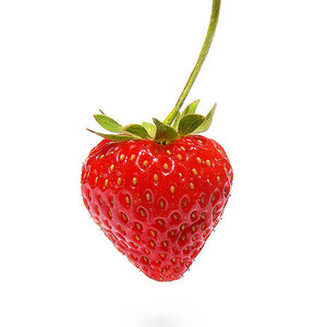fraise_hiver.jpg