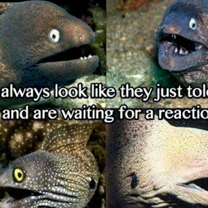 fuckinglovescience-eels.jpg
