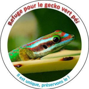 gecko_vert_pressecologie.jpg