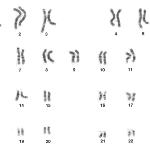 genome.png