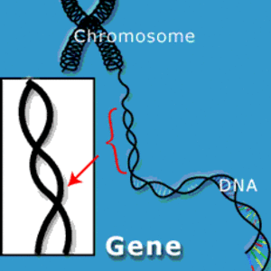 genome_news_network.gif