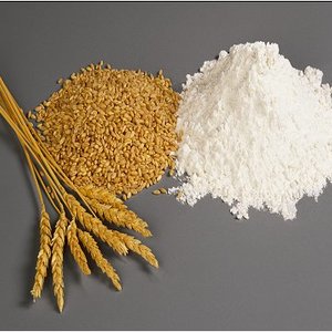 gluten.jpg