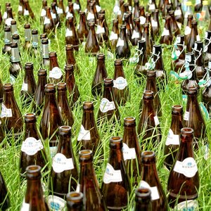 grass_and_glass.jpg