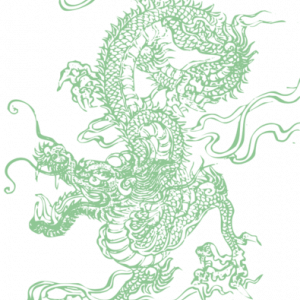 green_chinese_dragon_nyo_wikicom.png