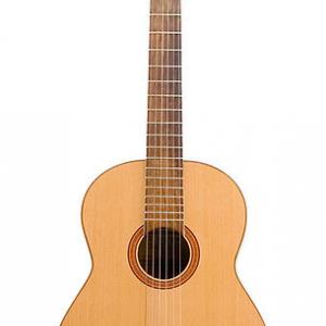 guitare_pj_wc.jpg