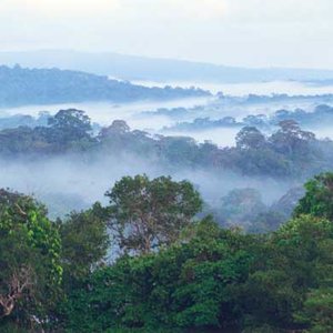 guyane_savane.jpg
