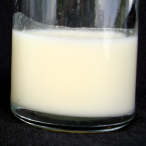 hindmilk.png