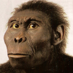hominides.png
