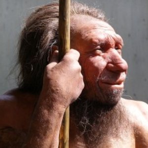 homo_neanderthalensis_portrait_-_neanderthal_museum-300x225.jpg