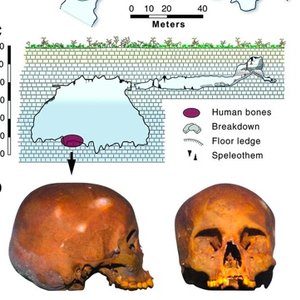 hoyonegro-science.jpg