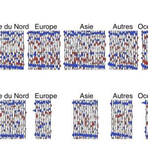 ib4132donnees-sismologiques-ligne-bleue-bas-enregistrement-marque-limite-superieur-zone-transition-410-km-profondeur-triangles-rouge-au-dessus-cette-ligne-materialisent.jpg