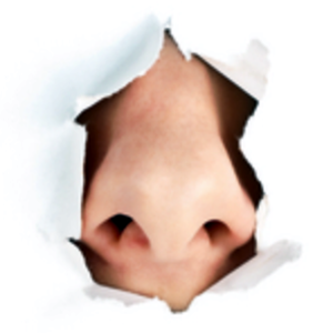 image_31.png