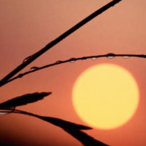 image_3_2.png